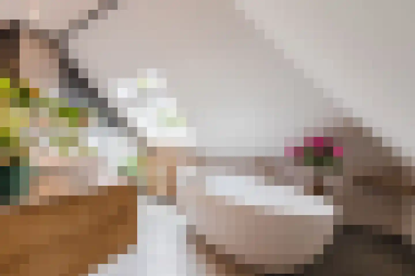 Hozenstraat 2 A Bredevoort thumbnail 31