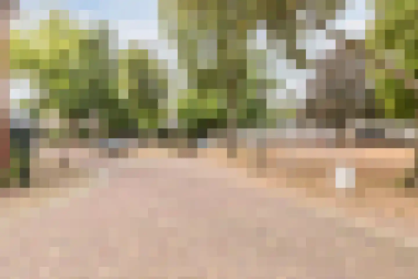 Hozenstraat 2 A Bredevoort thumbnail 40