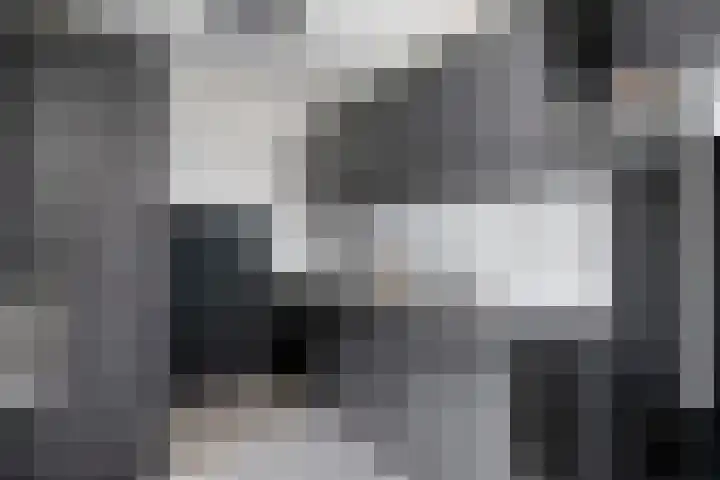 Hubenhof 64 Venray thumbnail 13