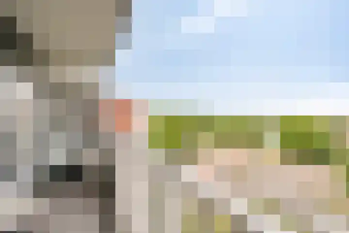 Hubenhof 64 Venray thumbnail 6