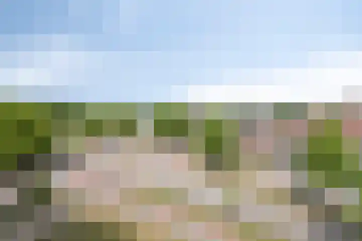 Hubenhof 64 Venray thumbnail 7