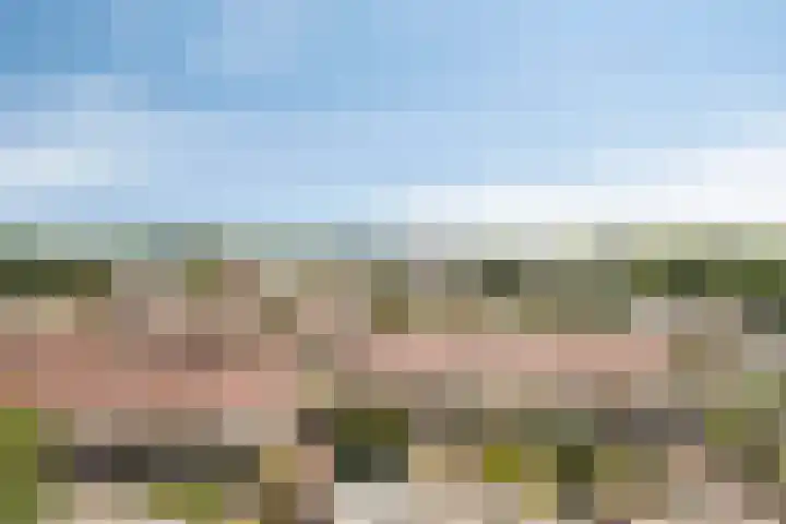 Hubenhof 64 Venray thumbnail 8