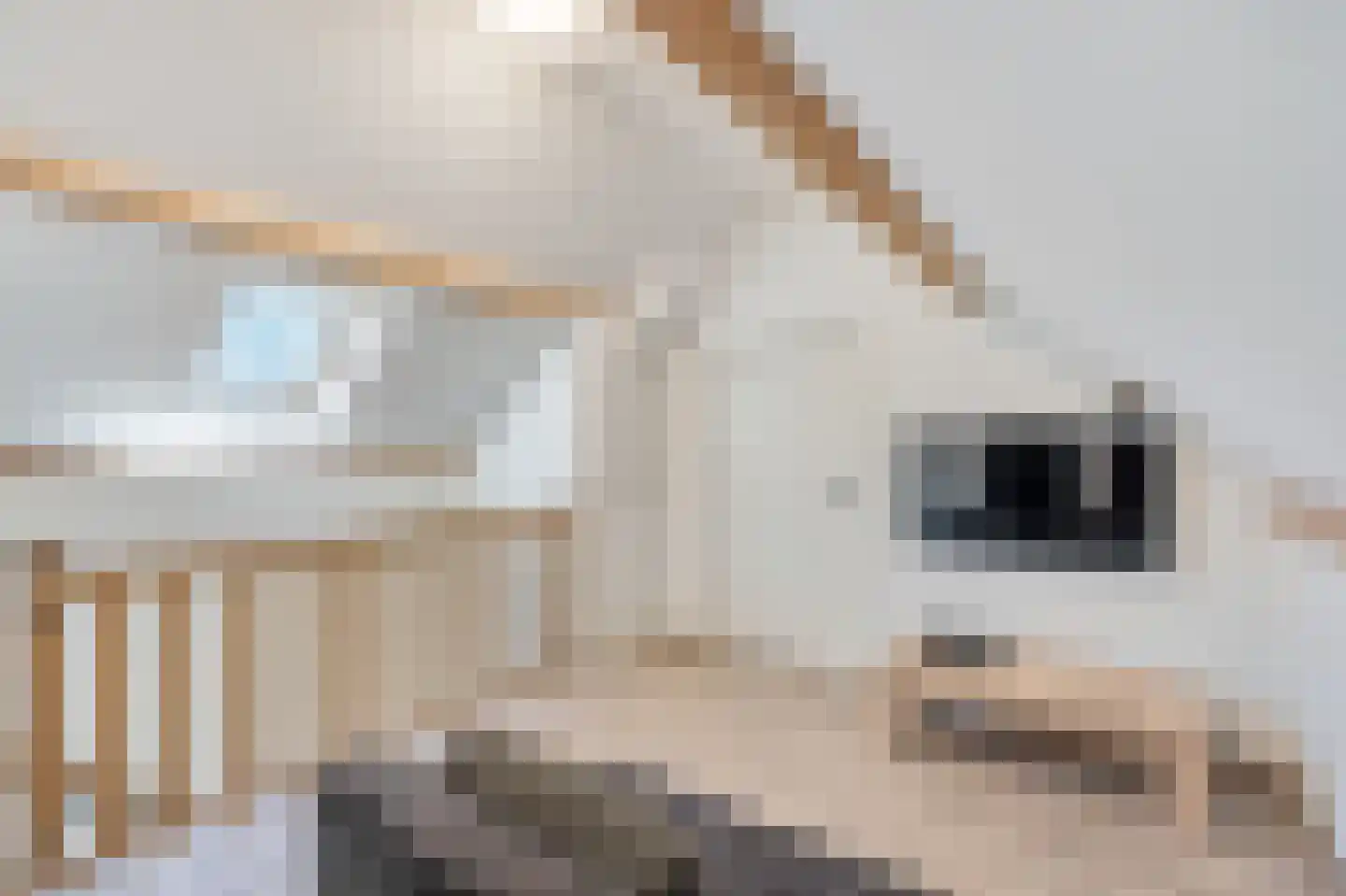 Hubensstraat 20 Stein thumbnail 34