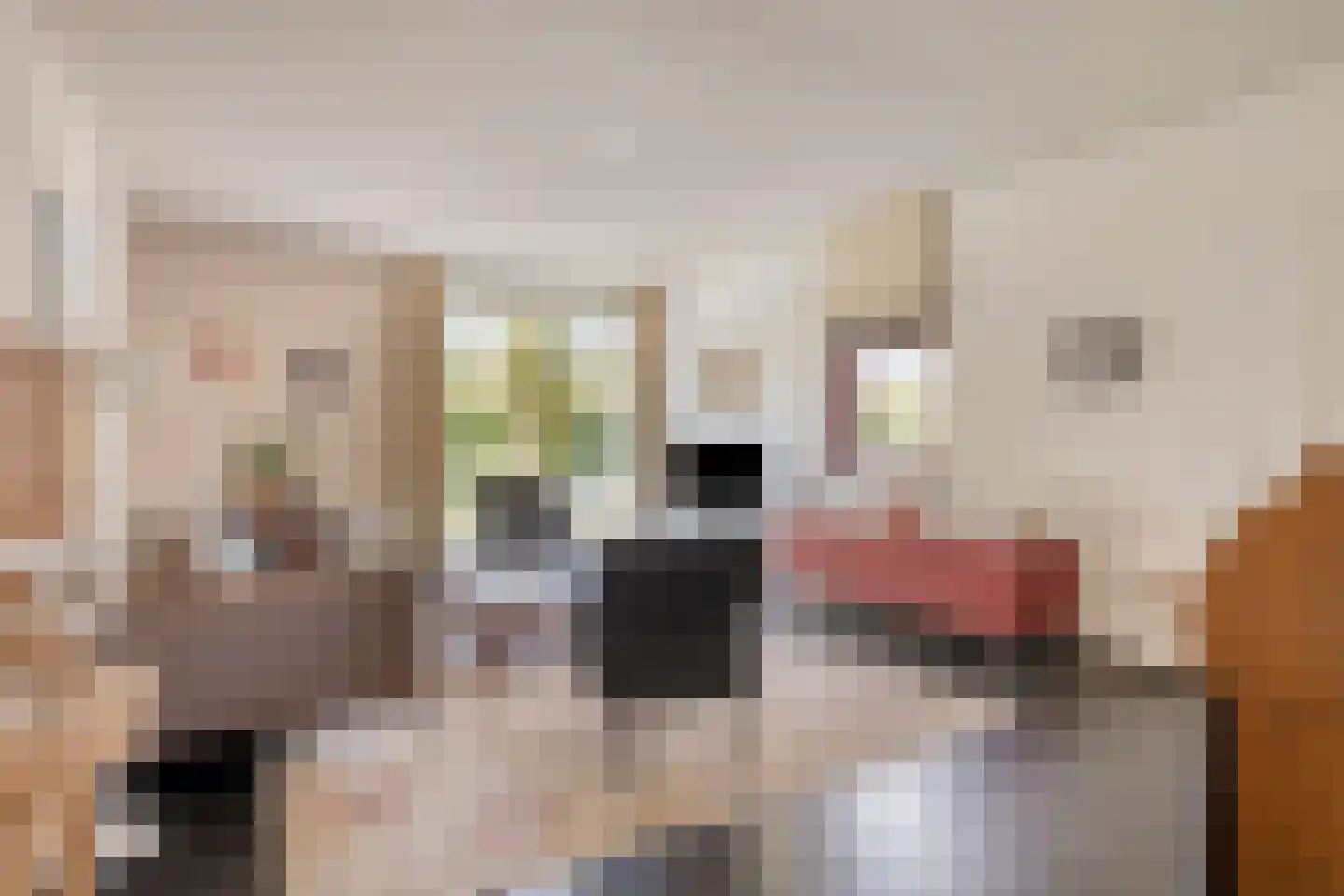Hubèr Jaminstraat 16 Maastricht thumbnail 4
