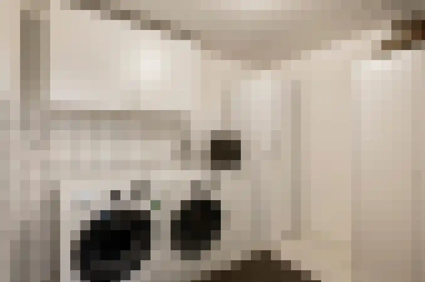 Hubert Cuyperslaan 39 d Baexem thumbnail 20