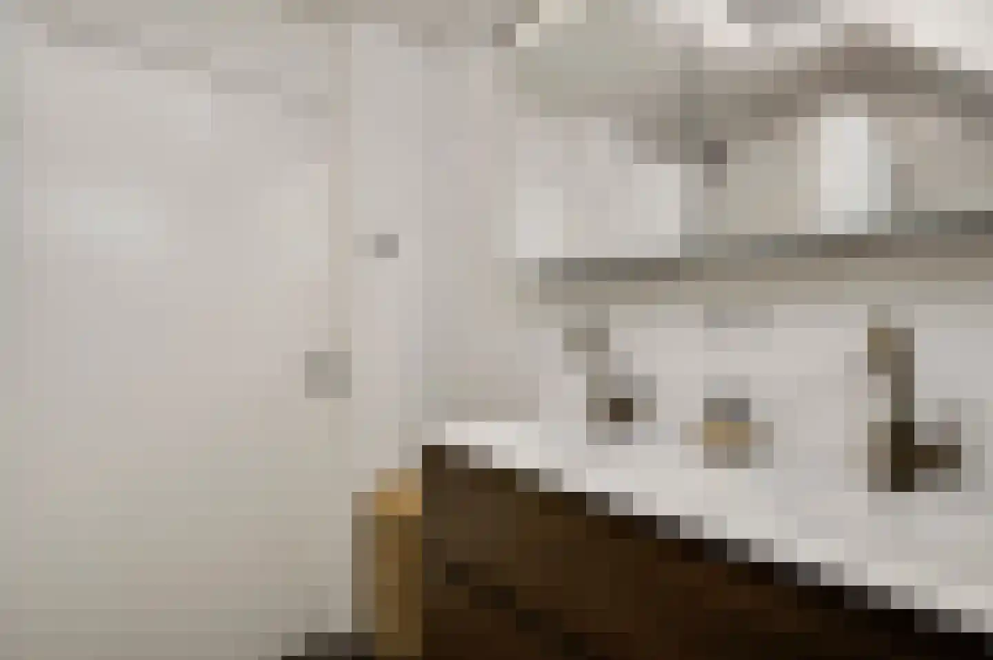 Hubert Cuyperslaan 39 d Baexem thumbnail 30
