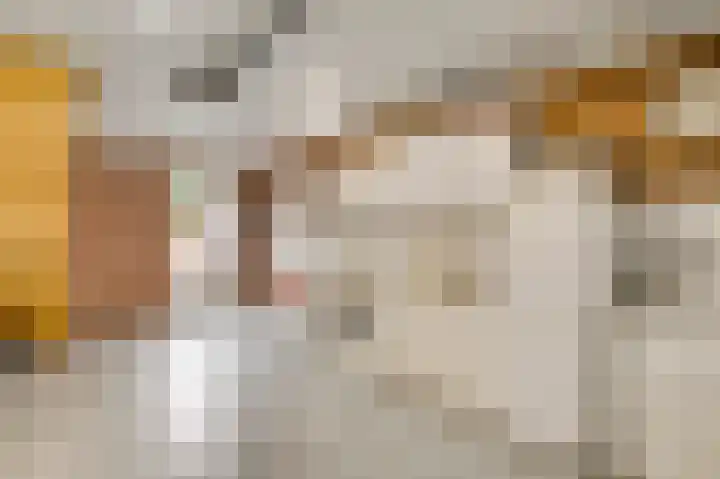 Hubert Cuyperslaan 47 Baexem thumbnail 11