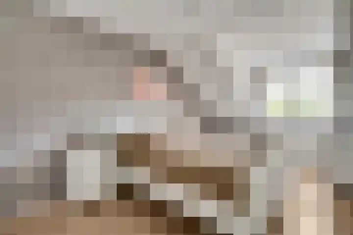 Hubert Cuyperslaan 47 Baexem thumbnail 18