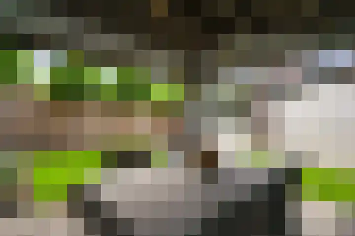Hubert Cuyperslaan 47 Baexem thumbnail 25