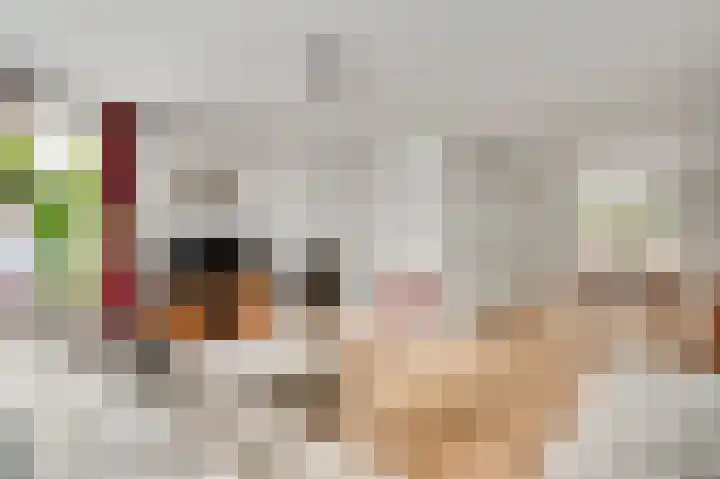 Hubert Cuyperslaan 47 Baexem thumbnail 7
