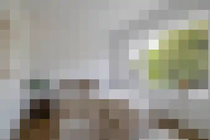 Hubert Duyfhuysstraat 2 Utrecht thumbnail 24
