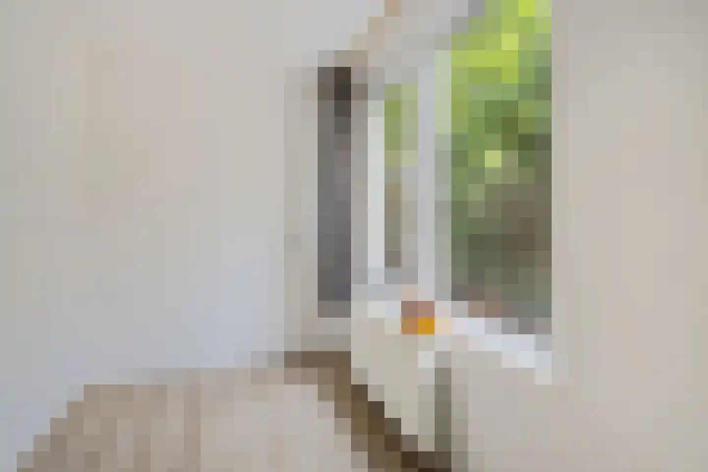Hubert Duyfhuysstraat 29 Utrecht thumbnail 21