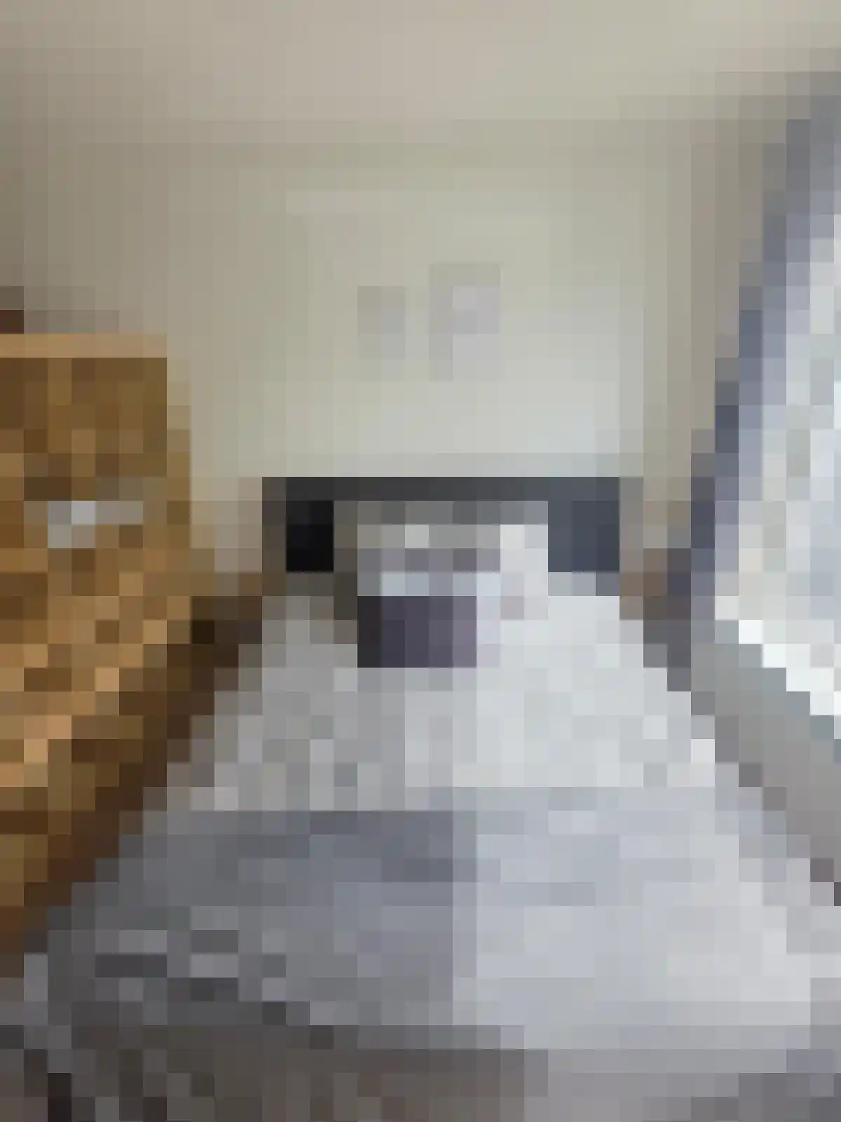 Hubert Duyfhuysstraat 44 Utrecht thumbnail 6