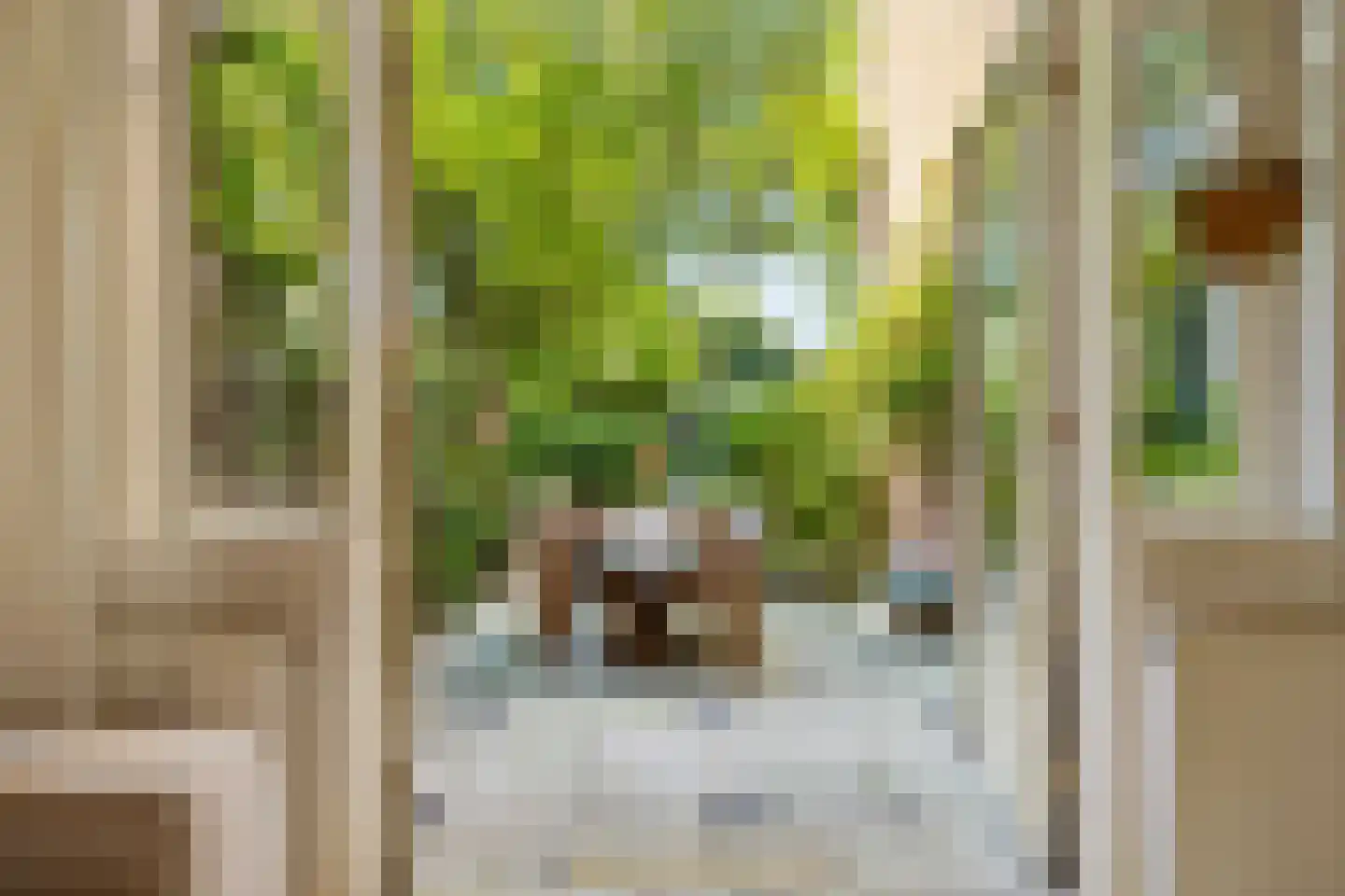 Hubert Duyfhuysstraat 66 Utrecht thumbnail 19