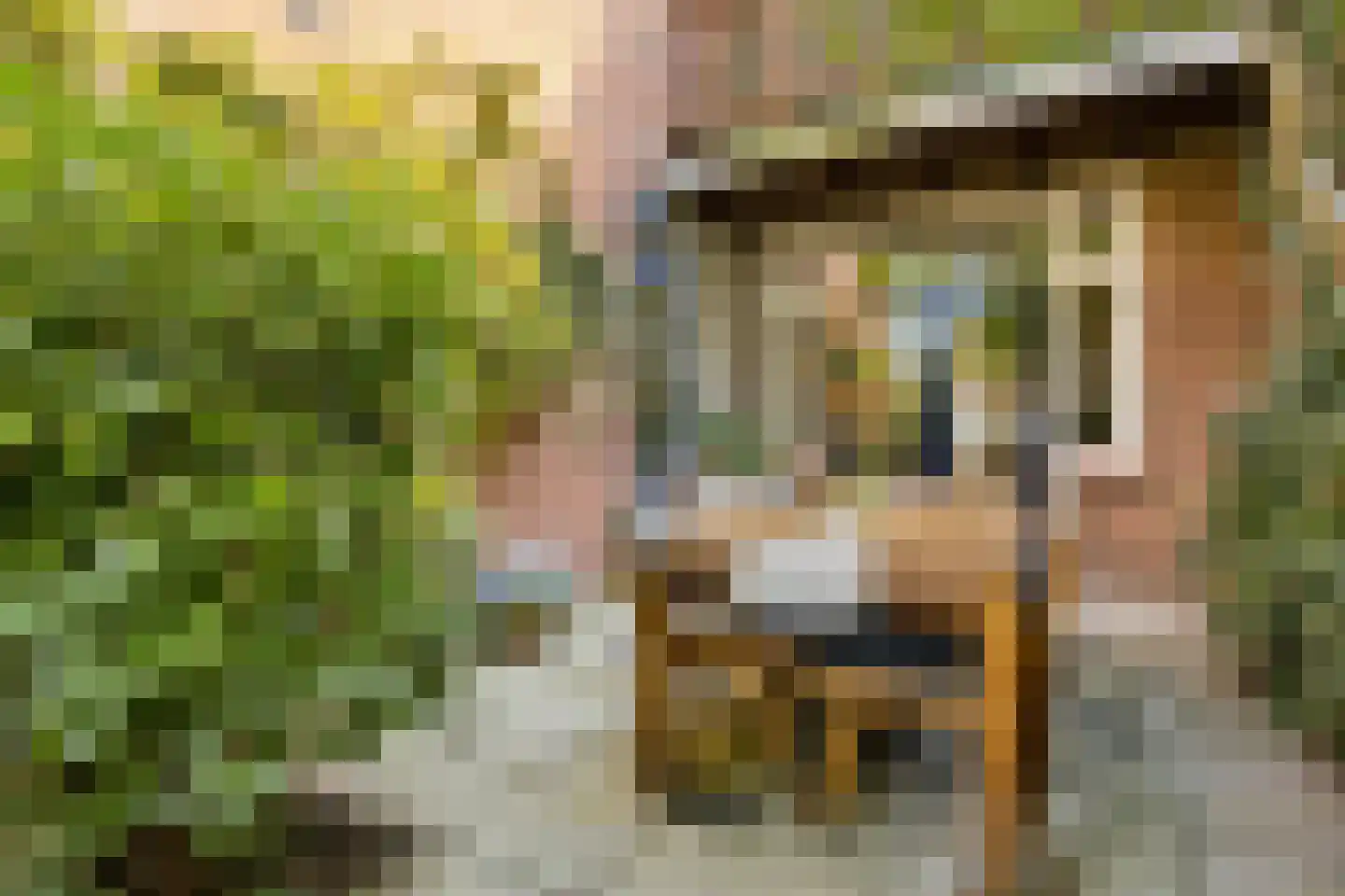 Hubert Duyfhuysstraat 66 Utrecht thumbnail 21
