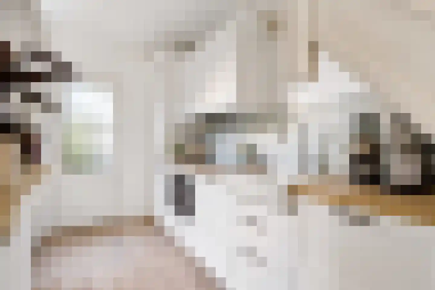 Hubert Duyfhuysstraat 66 Utrecht thumbnail 6