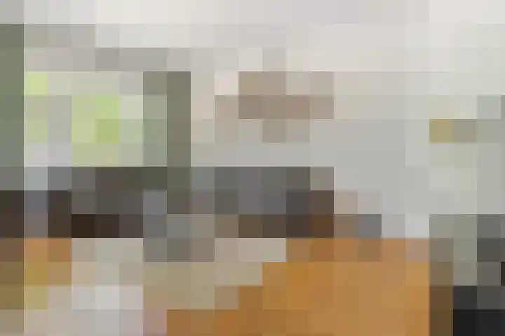 Hubert Pootstraat 5 Utrecht thumbnail 10