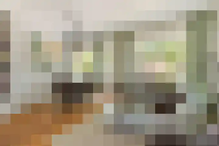 Hubert Pootstraat 5 Utrecht thumbnail 12