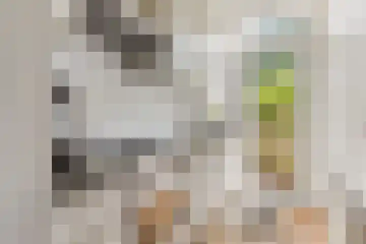 Hubert Pootstraat 5 Utrecht thumbnail 17
