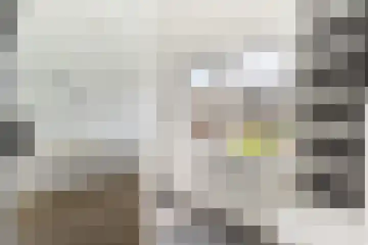 Hubert Pootstraat 5 Utrecht thumbnail 23