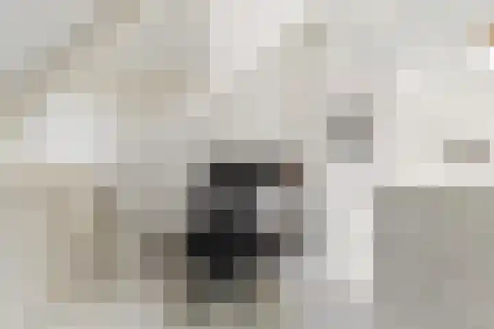 Hubert Pootstraat 5 Utrecht thumbnail 30