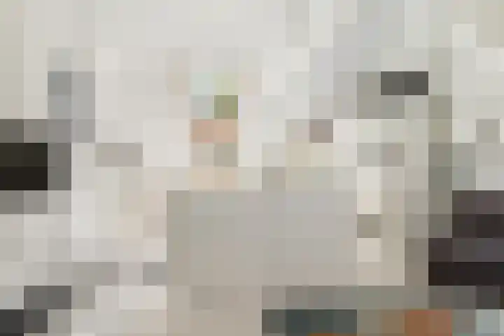 Hubert Pootstraat 5 Utrecht thumbnail 32