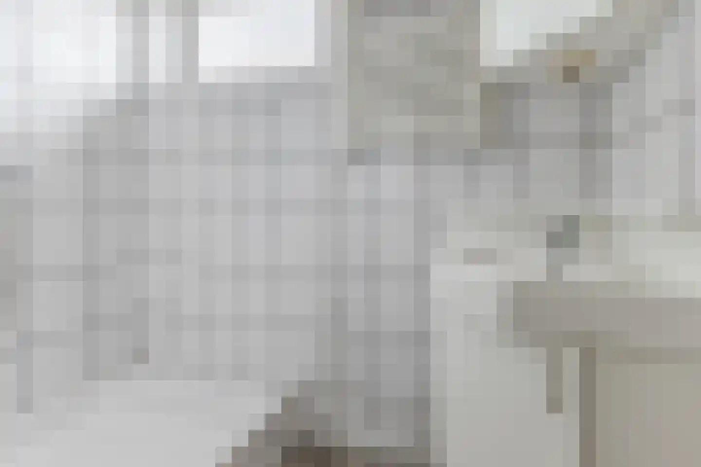 Hubert van Nispenstraat 12 Valkenswaard thumbnail 21