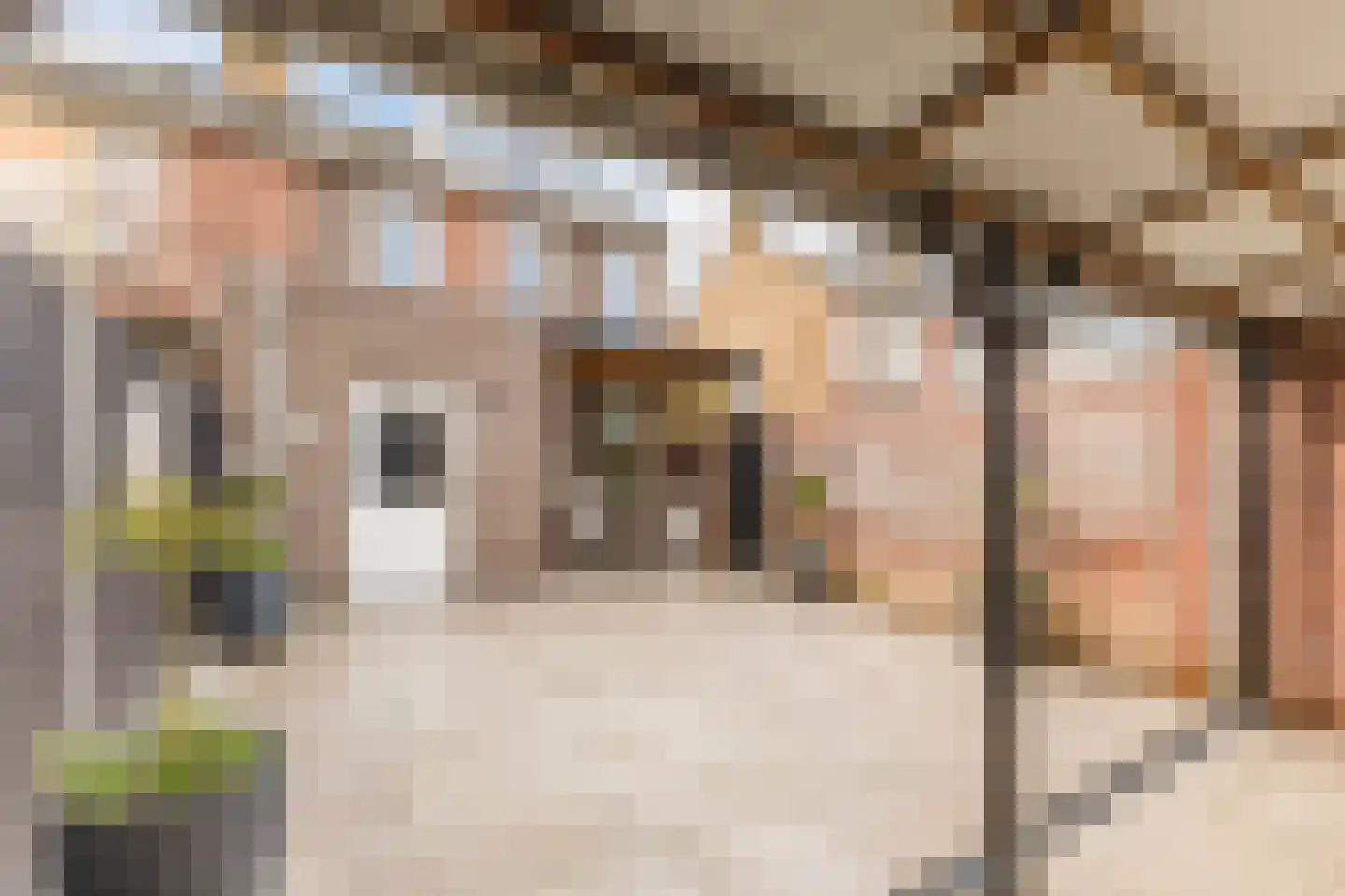 Hubert van Nispenstraat 12 Valkenswaard thumbnail 32