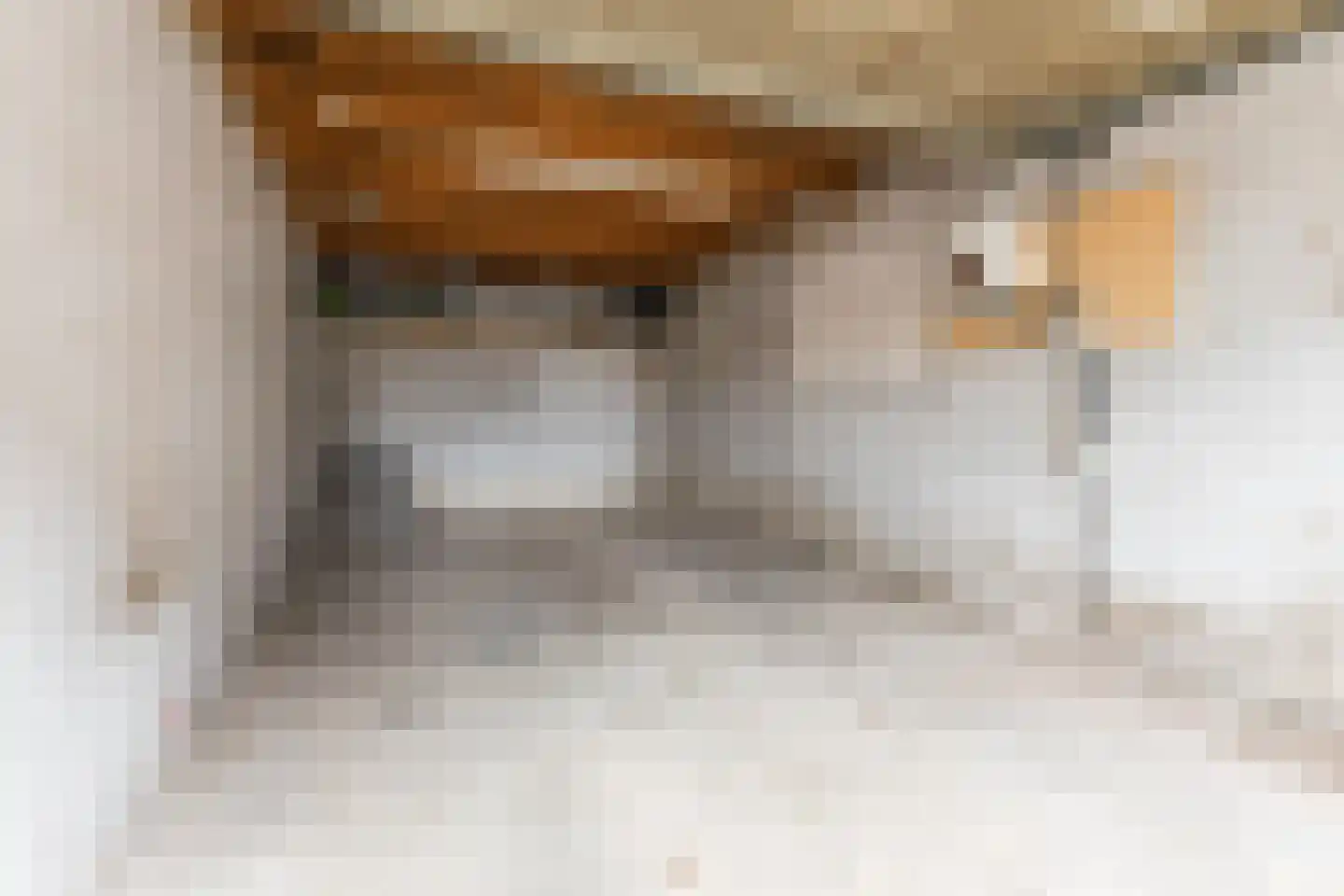 Hubert van Nispenstraat 12 Valkenswaard thumbnail 34
