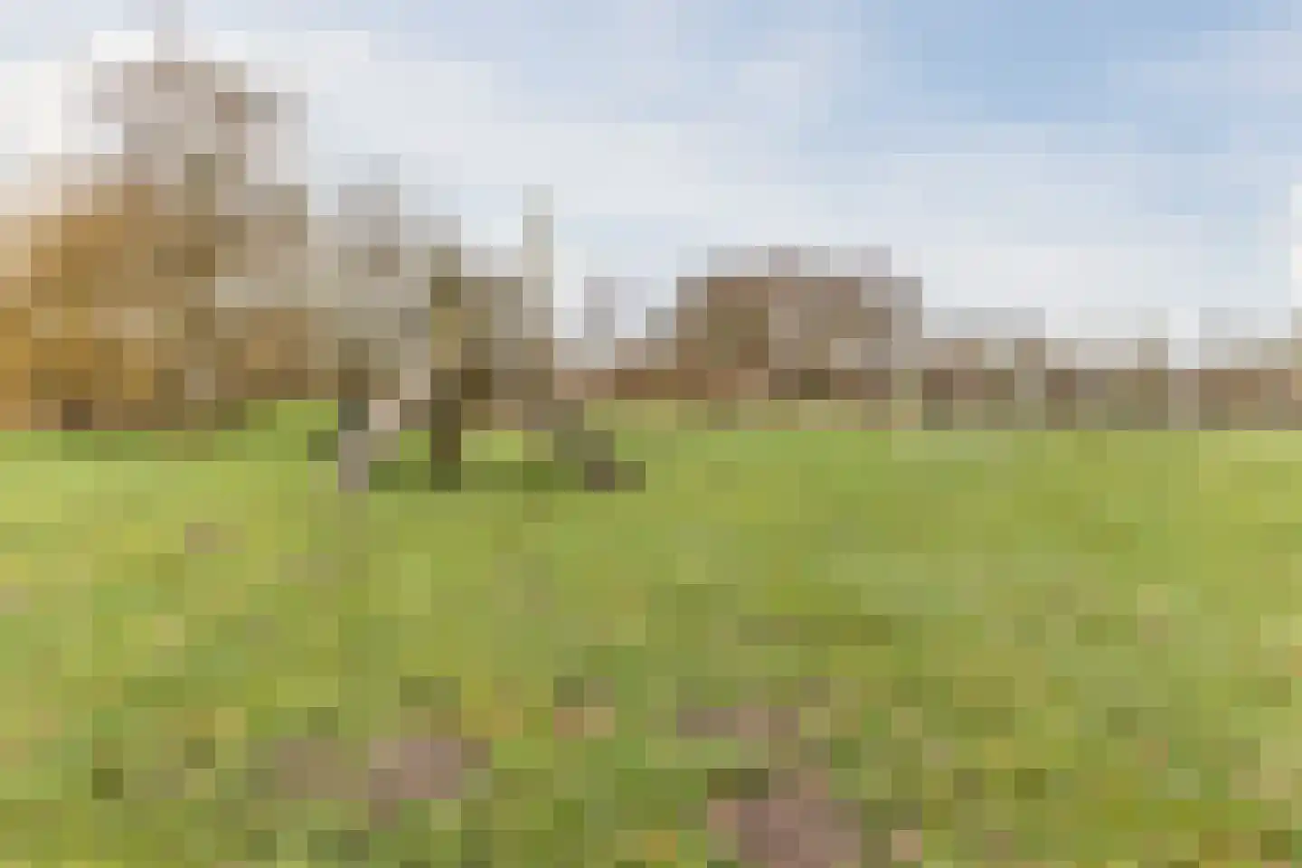 Hubert van Nispenstraat 12 Valkenswaard thumbnail 37