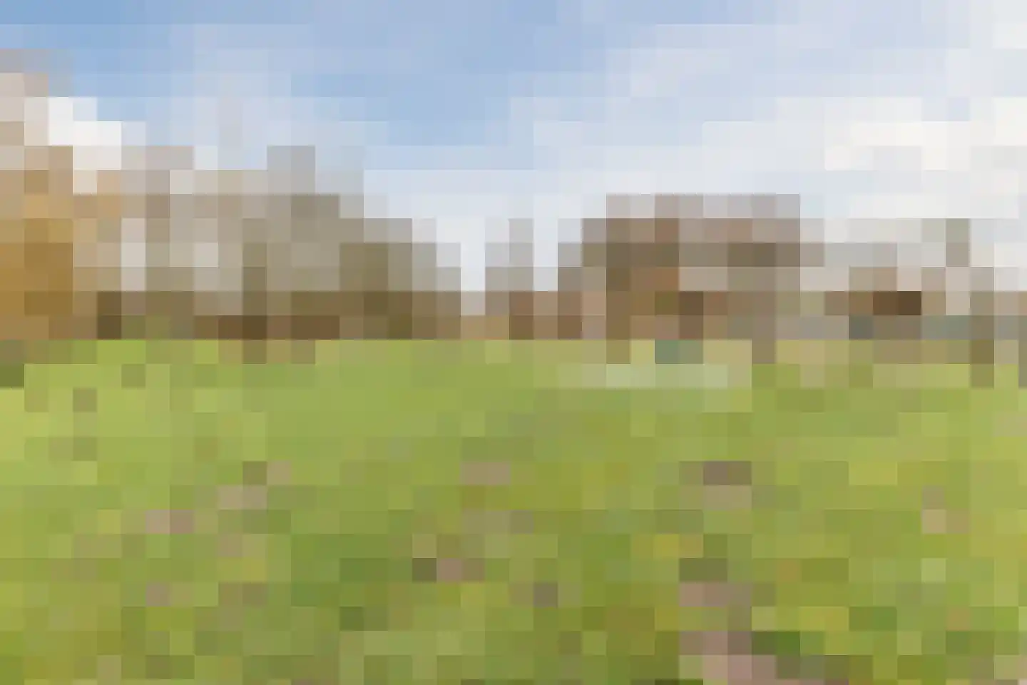 Hubert van Nispenstraat 12 Valkenswaard thumbnail 38