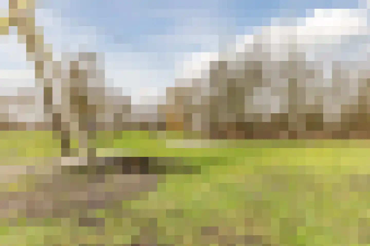 Hubert van Nispenstraat 12 Valkenswaard thumbnail 39