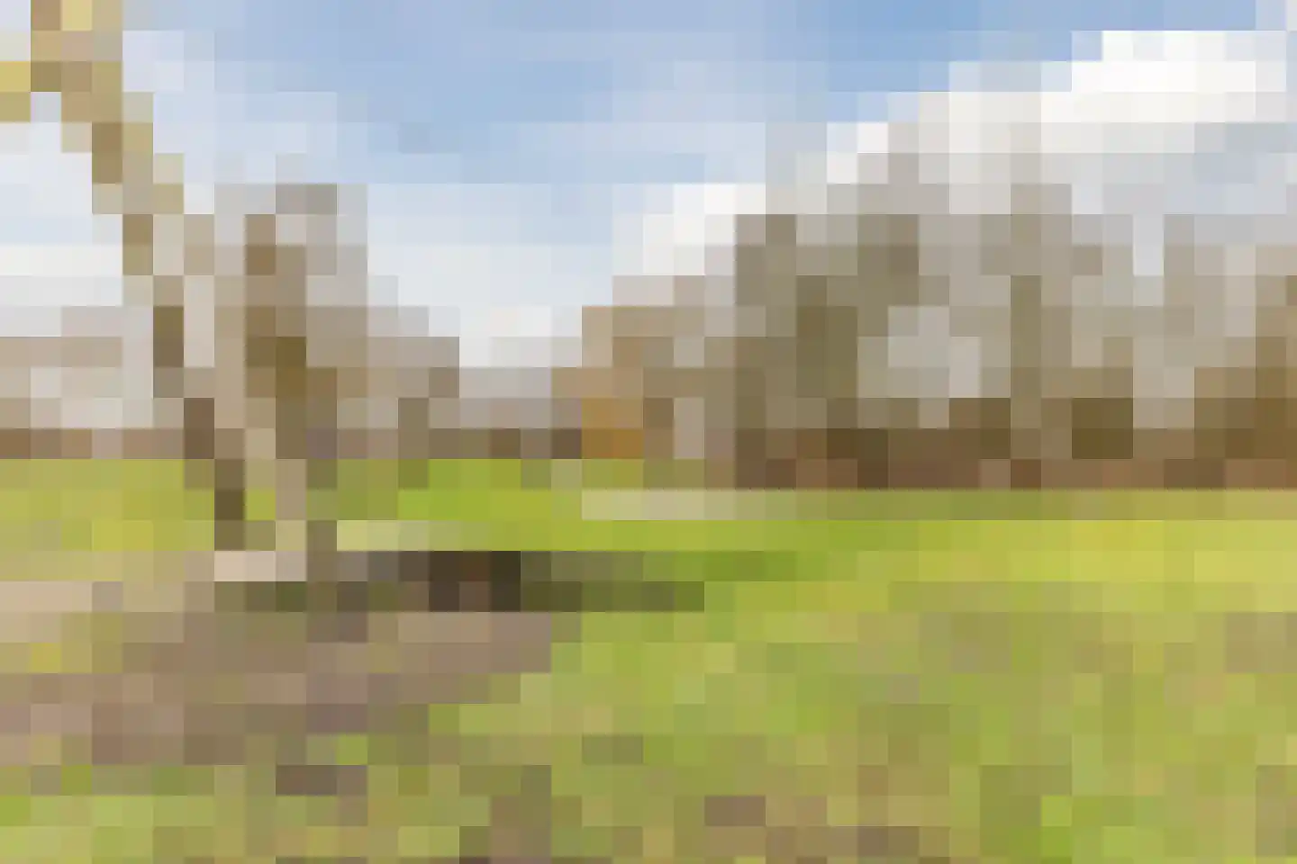 Hubert van Nispenstraat 12 Valkenswaard thumbnail 39