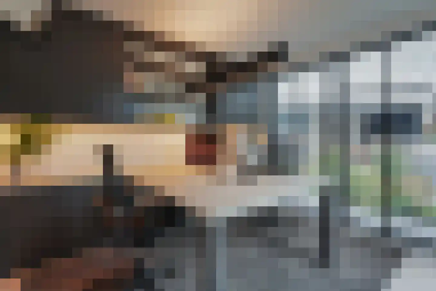 Hubert van Schonauwenlaan 4 Culemborg thumbnail 13