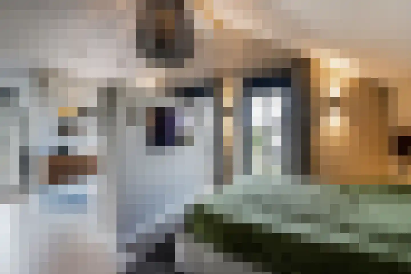 Hubert van Schonauwenlaan 4 Culemborg thumbnail 15