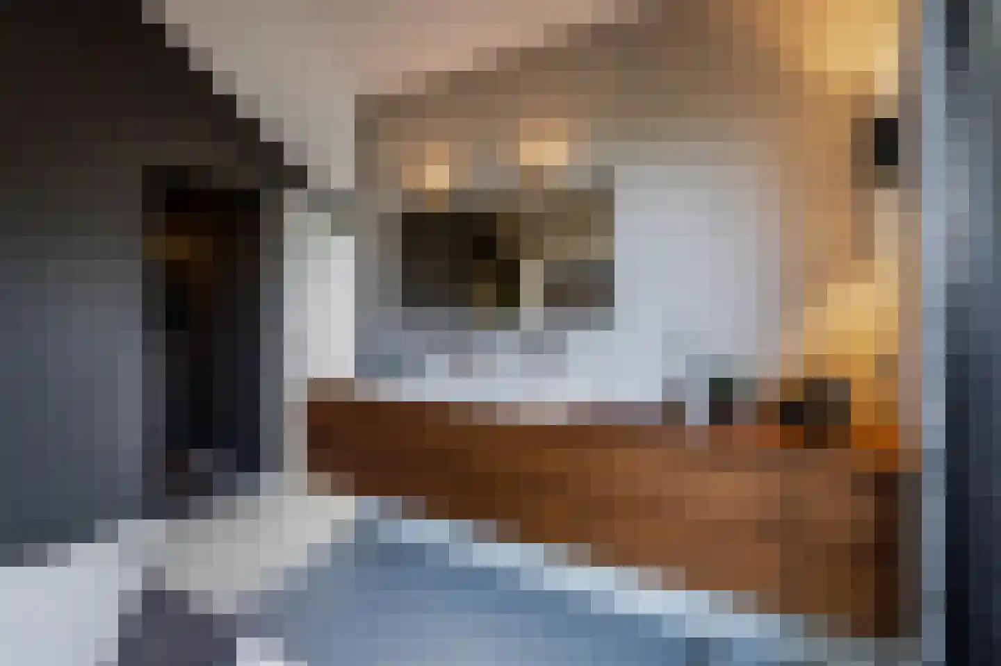 Hubert van Schonauwenlaan 4 Culemborg thumbnail 19