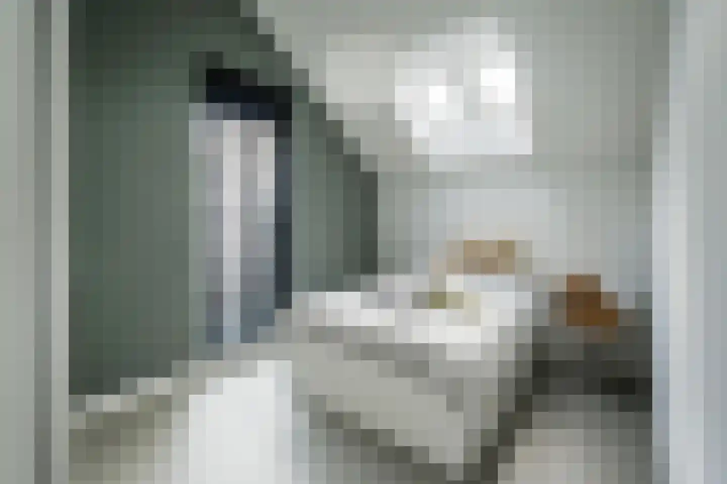 Hubert van Schonauwenlaan 4 Culemborg thumbnail 21
