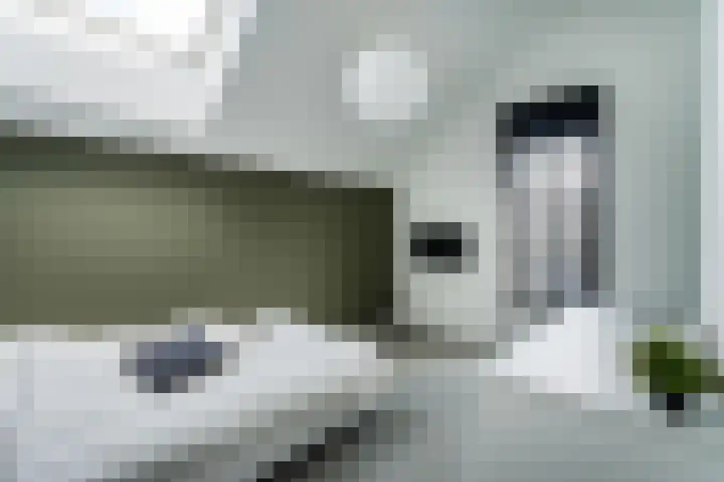 Hubert van Schonauwenlaan 4 Culemborg thumbnail 22