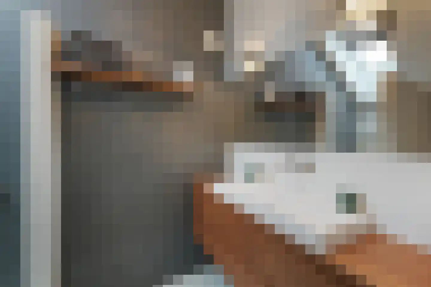 Hubert van Schonauwenlaan 4 Culemborg thumbnail 23