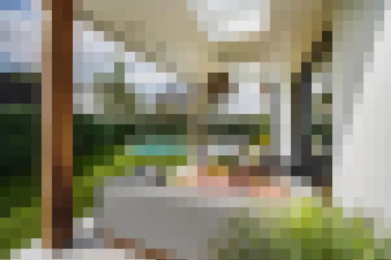 Hubert van Schonauwenlaan 4 Culemborg thumbnail 26