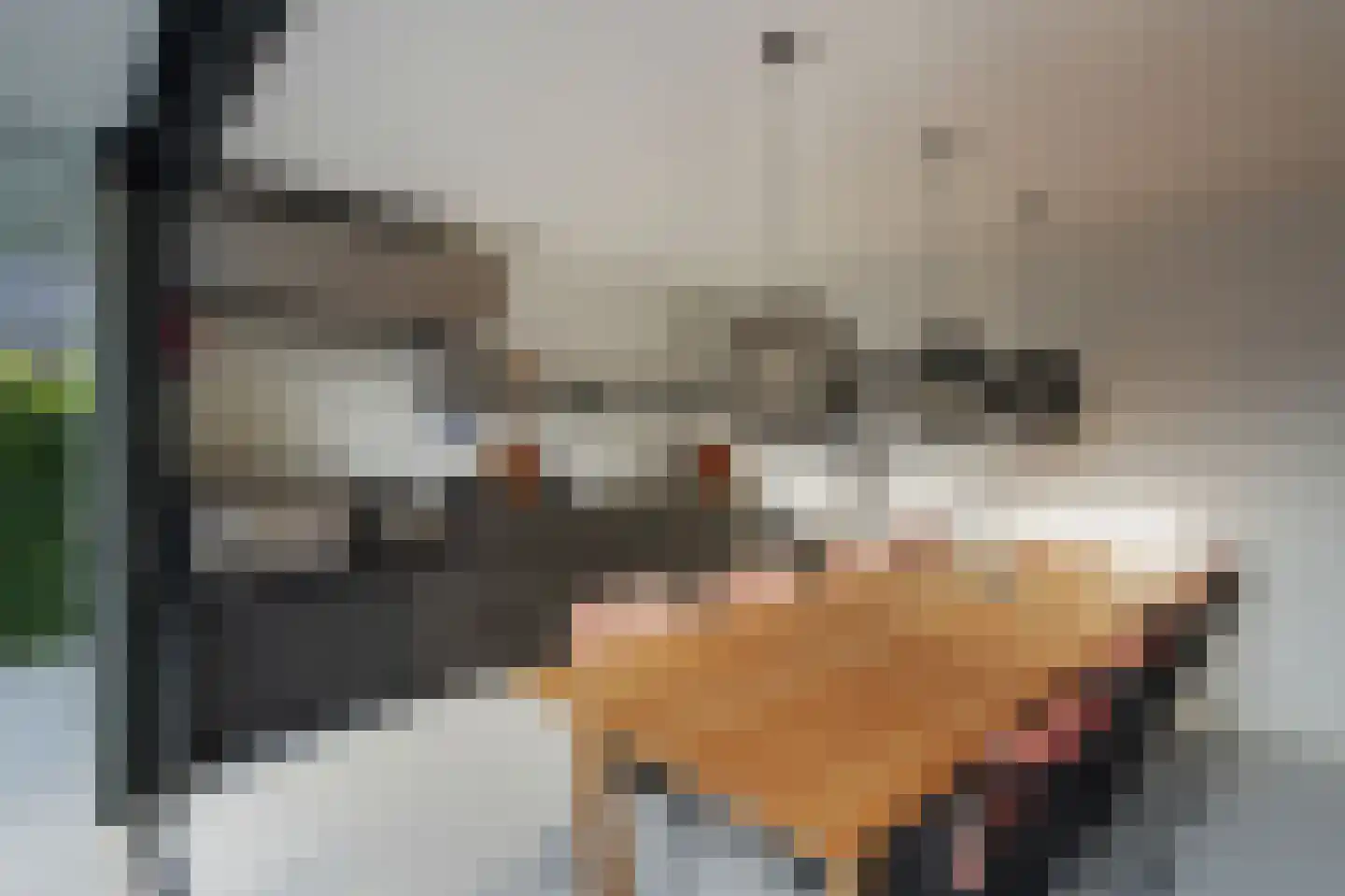 Hubert van Schonauwenlaan 4 Culemborg thumbnail 32