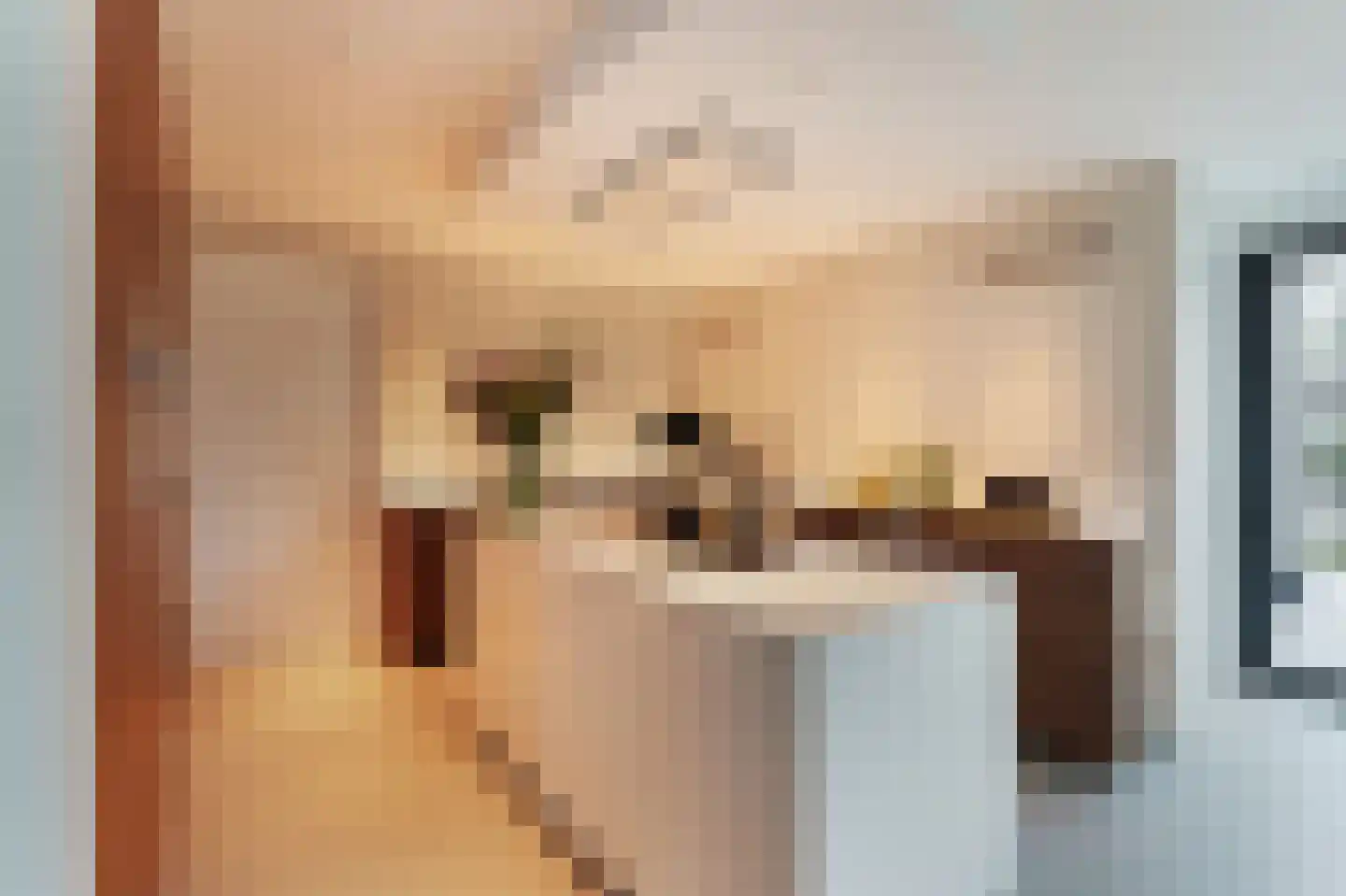 Hubert van Schonauwenlaan 4 Culemborg thumbnail 7