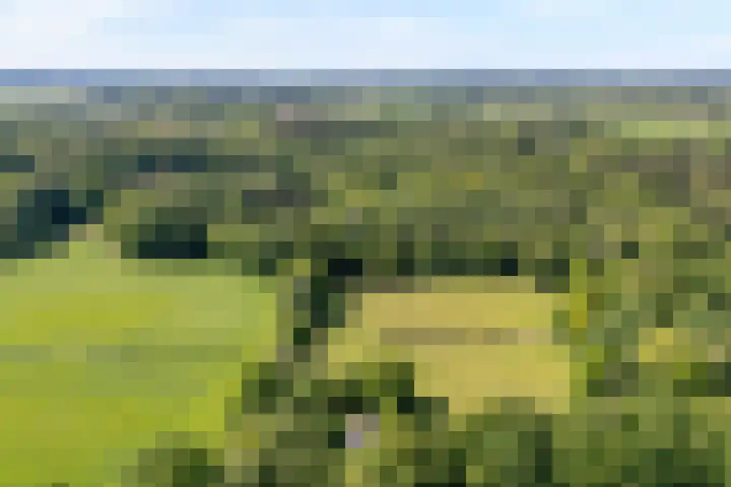 Hubertsallee 7 Laag Zuthem thumbnail 6