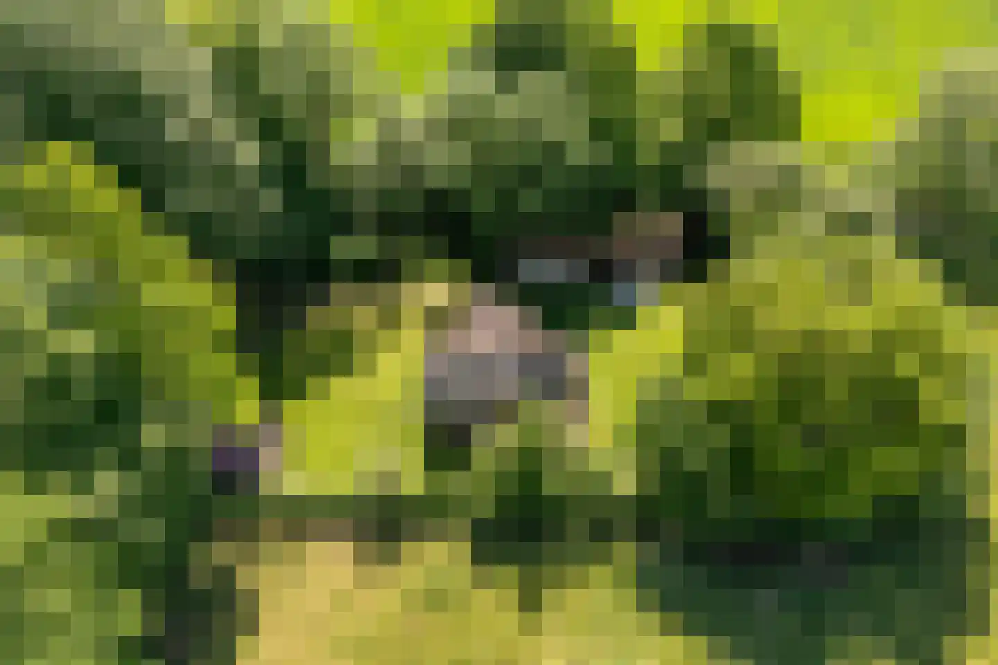 Hubertsallee 7 Laag Zuthem thumbnail 8