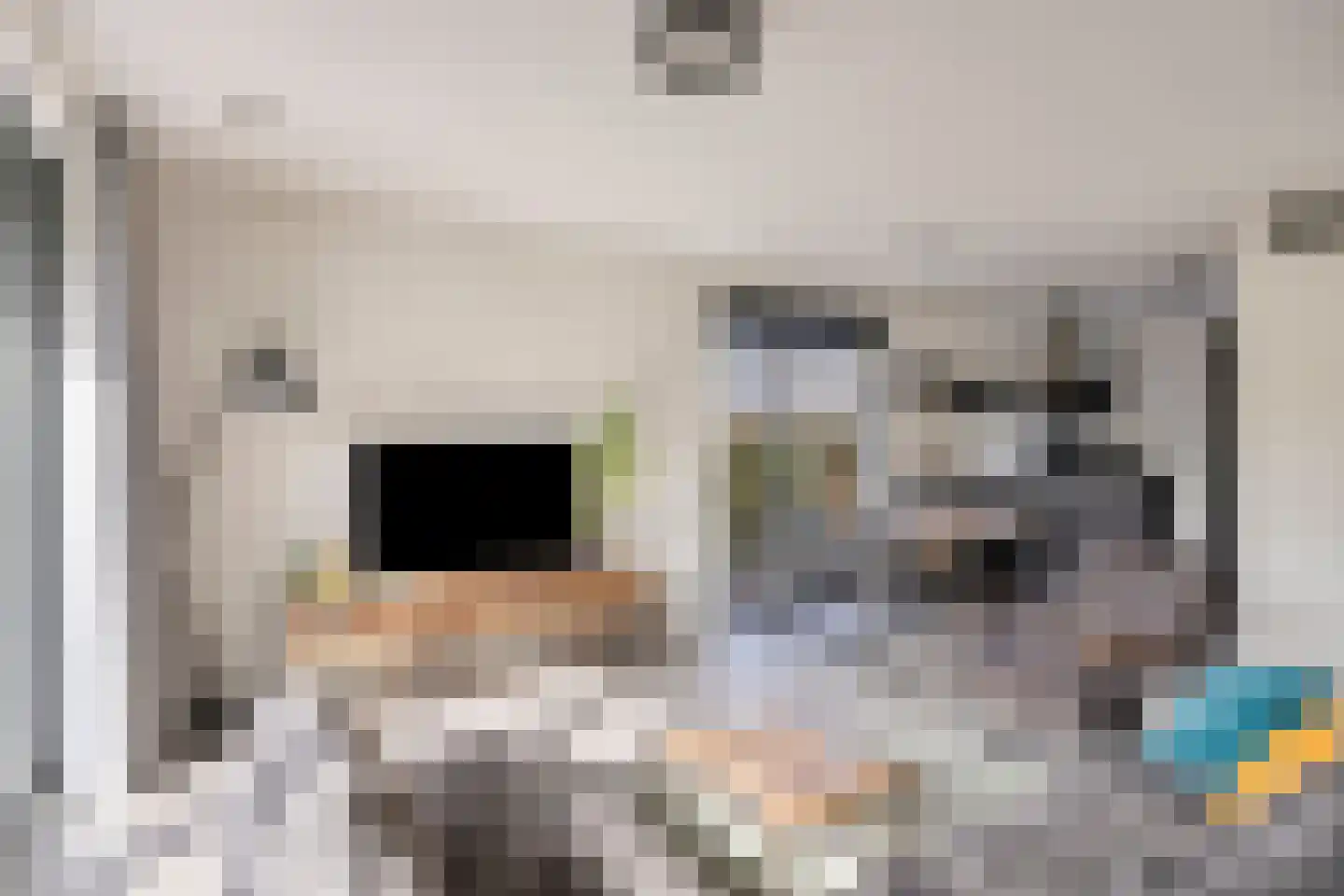 Hubertshoeve 20 Veghel thumbnail 7