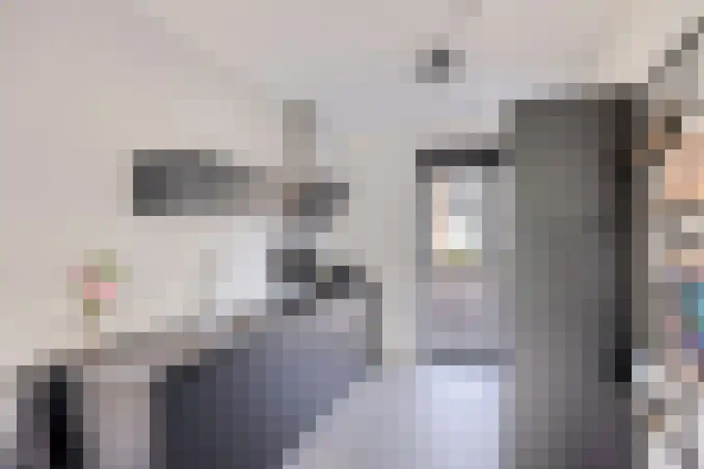 Hubertshoeve 20 Veghel thumbnail 9