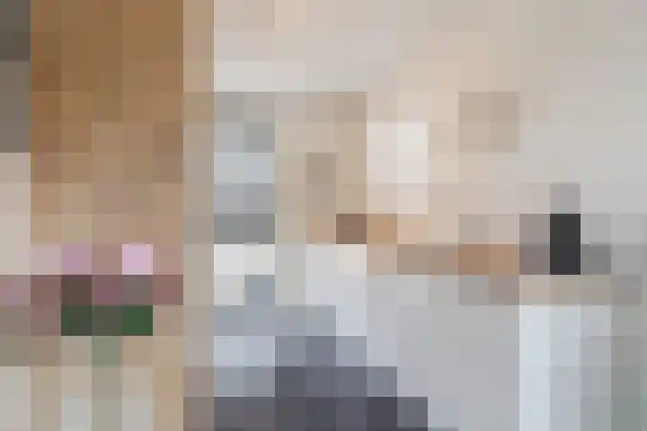 Hubertshoeve 23 Veghel thumbnail 16