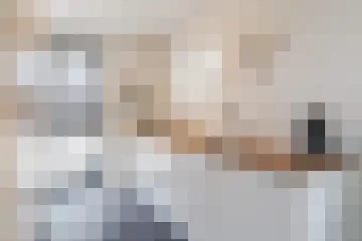 Hubertshoeve 23 Veghel thumbnail 17