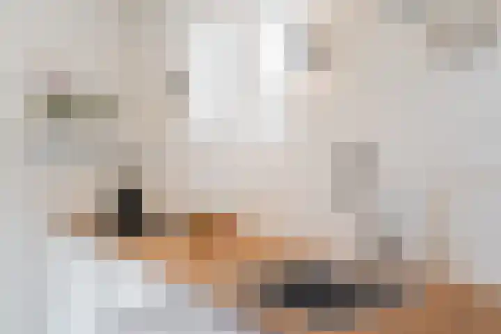 Hubertshoeve 23 Veghel thumbnail 18