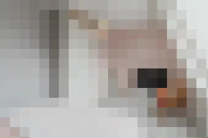 Hubertshoeve 23 Veghel thumbnail 24